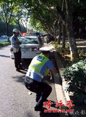 女司機(jī)開寶馬連撞兩警車 被帶下車時(shí)全身癱軟