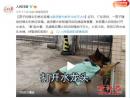 不能總指望退役警犬“教科書(shū)式”滅火