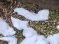 維揚(yáng)書生：“雪村”變“棉花村”，不能只當(dāng)笑話看